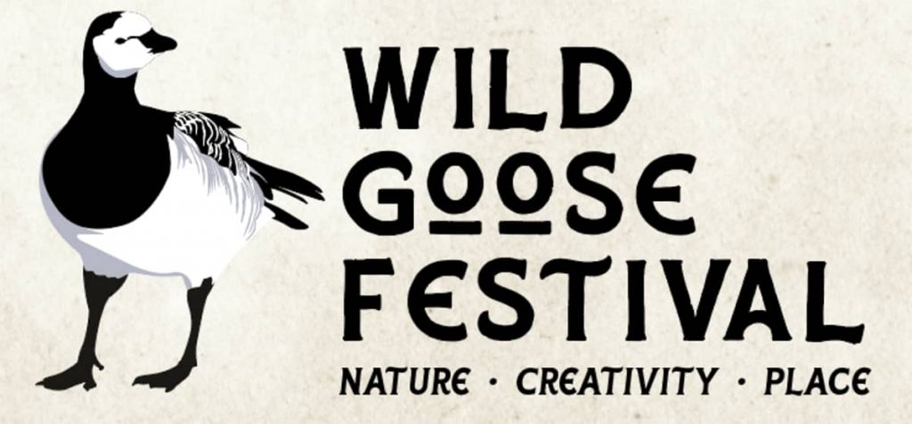 wild goose festival